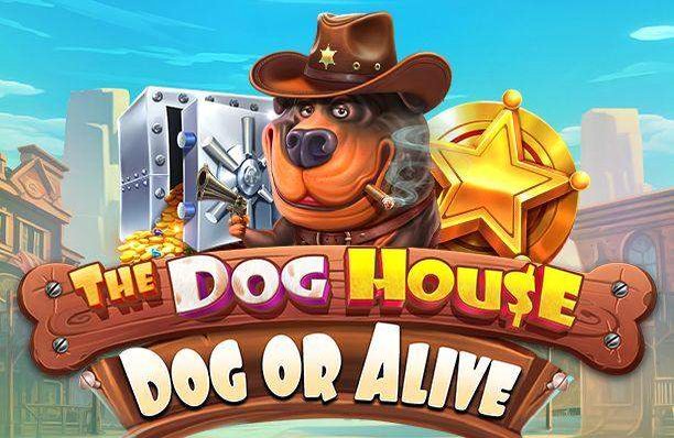 Dog or Alive